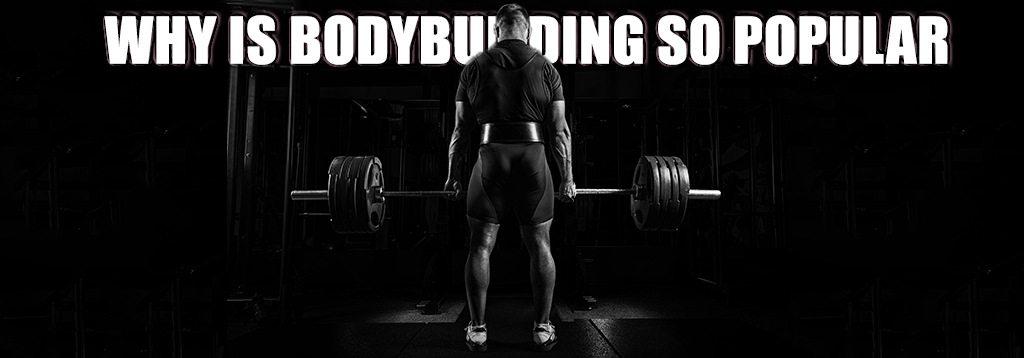 Bodytech, Steroid, anabolic, steroid cycle, beginer steroid 