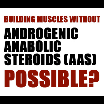 Bodytech, Steroid, anabolic, steroid cycle, beginer steroid 